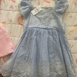 Gap eyelet striped blue dress